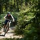 scott-sports-chasing-trail-brendan-fairclough-mtb-bike-actionimage-2020-042A7314-CREDIT-tomgphoto