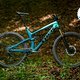 Trek Fuel EX Test-Tipp Trail