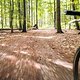 Orbit360 // Gravel Series 2022 // MagneticMoon