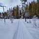 Winterpokal-Aktivität