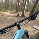 IMG 1334