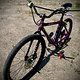 mongoose surly mullet