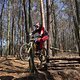 Bike Beerfelden P 281