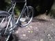 IMG00078-20100925-1426