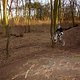 Prinzenpark 18