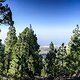 Sightseeing in den Bergen von La Palma beim Shooting für diesen Artikel