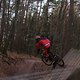 IMG 1266