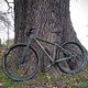 Standfest: Update Mavic Crossride FTS-X 29&quot; SLR