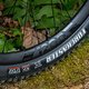 Leichte Laufräder aus Carbon – die DT Swiss XMC1200