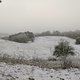 P1022099