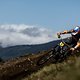 MTBNews