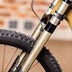 Crossworx-12