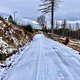🌧️❄️winterliche Runde zum Feldberg ❄️