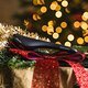 weihnachts-special-ergon--4