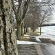 IMG 4573