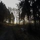 IMG 0957