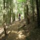 Singeltrail