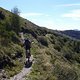 comerseetessin8verkl