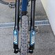 IMG 1751