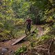 BC Whistler - Bart&#039;s Dark Trail