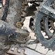 MTBSonntag 059