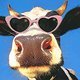 Kuh mit Sonnenbrille