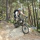 DSCN6771: Tschilli, Monte Sole-Trail