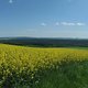Lerchenberg Panorama Süd