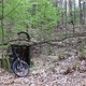IMG 3451