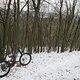IMG 0072
