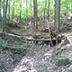 DSC00645