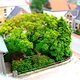 DSCI0552-tiltshift8