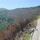 Forest fire Ronco sopra Ascona Ticino Switzerland