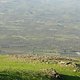 DSC01239