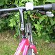 IMG 3556