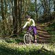 Purple-Flowers auf dem Trail