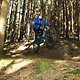 Biking is awesome