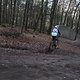 IMG 1446