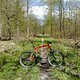 Cannondale M800 (2016)