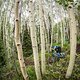 EWS Snowmass 2017 68I5588