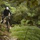 NZEnduro19 Day2-5707