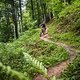 Ein letzter Trailschwung am Staufen und wir touren über die Salmaser Höhe zurück zu Arons Baumchalets