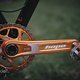 SingleBe - NoisyBee - Custom 29er