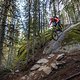 BC Whistler - Korova Milk Bar