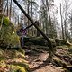 20250315-01 Zittauer Gebirge