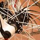 DSC 0009 1200p