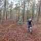 P1290455-