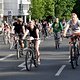Critical Mass 1705 3263b