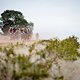 The lead bunch during stage 6 of the 2018 Absa Cape Epic Mountain Bike stage race held from Huguenot High in Wellington, South Africa on the 24th March 2018

Photo by Nick Muzik/Cape Epic/SPORTZPICS

PLEASE ENSURE THE APPROPRIATE CREDIT IS GIVEN 
