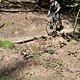 IMG 4619